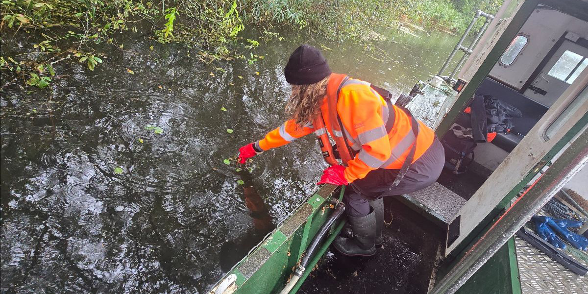 Invasive species monitoring