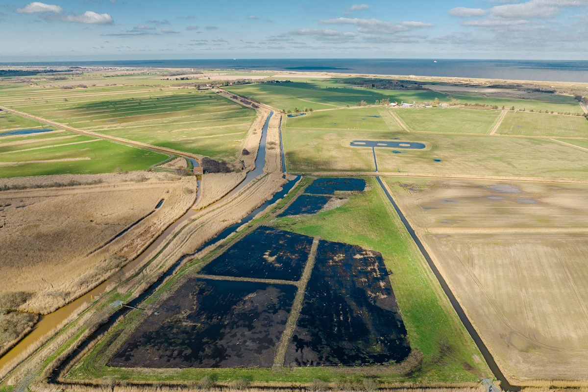 An aerial view of the wetland farming site at Horsey