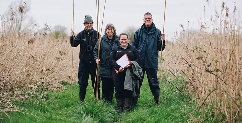 A Broads Authority ecologist and a group of volunteers standing in a marshland, holding tools and a clipboard, as they prepare to undertake a water vole survey