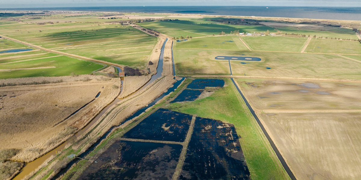 Horsey wetland planting thumbnail