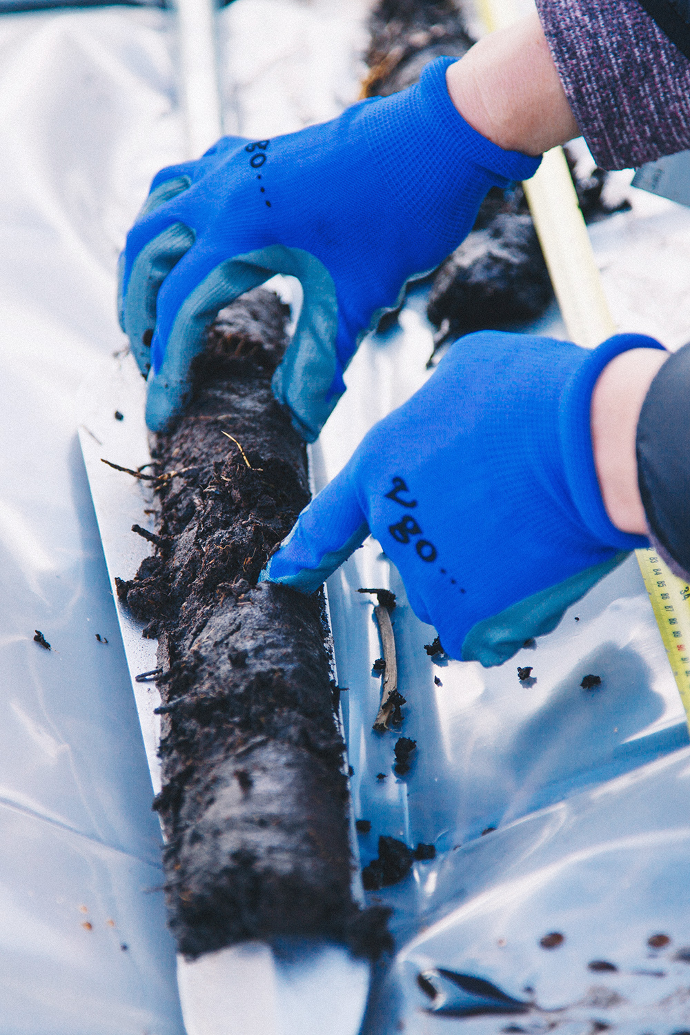 A close-up of a researcher wearing blue gloves examining a cylindrical peat core sample. The dark, moist peat is placed on a white tray, with measuring tools visible in the background, indicating a scientific study or environmental analysis.