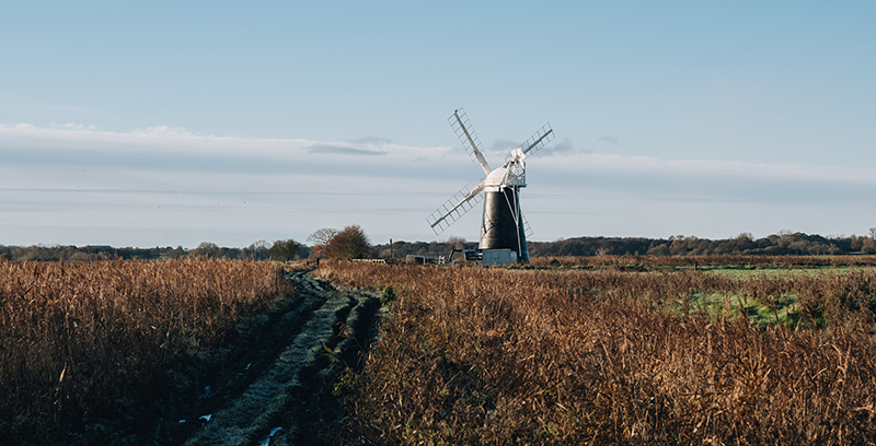 A view of Mutton's Mill surrounded by reeds and marshland