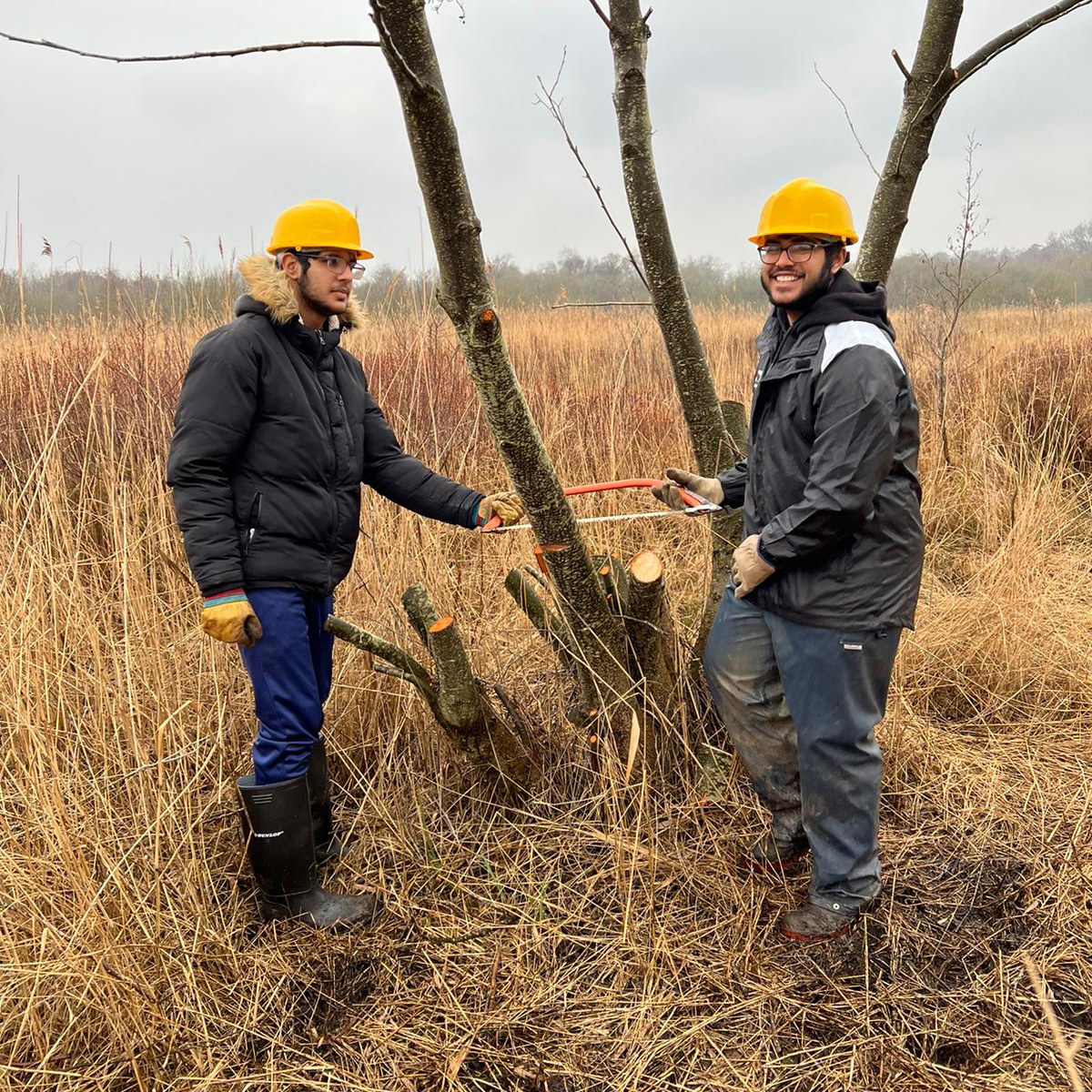 Two people standing in a fen undertaking conservation work with a saw