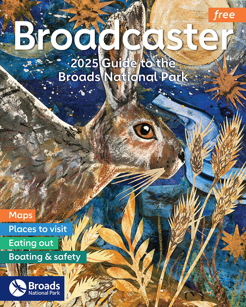 A cover of the 2025 edition of Broadcaster Magazine, with a painting of a brown-coloured hare against a vibrant and colourful blue backround 